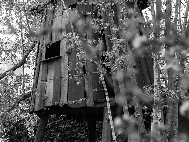 treehouse-1364512_640.jpg