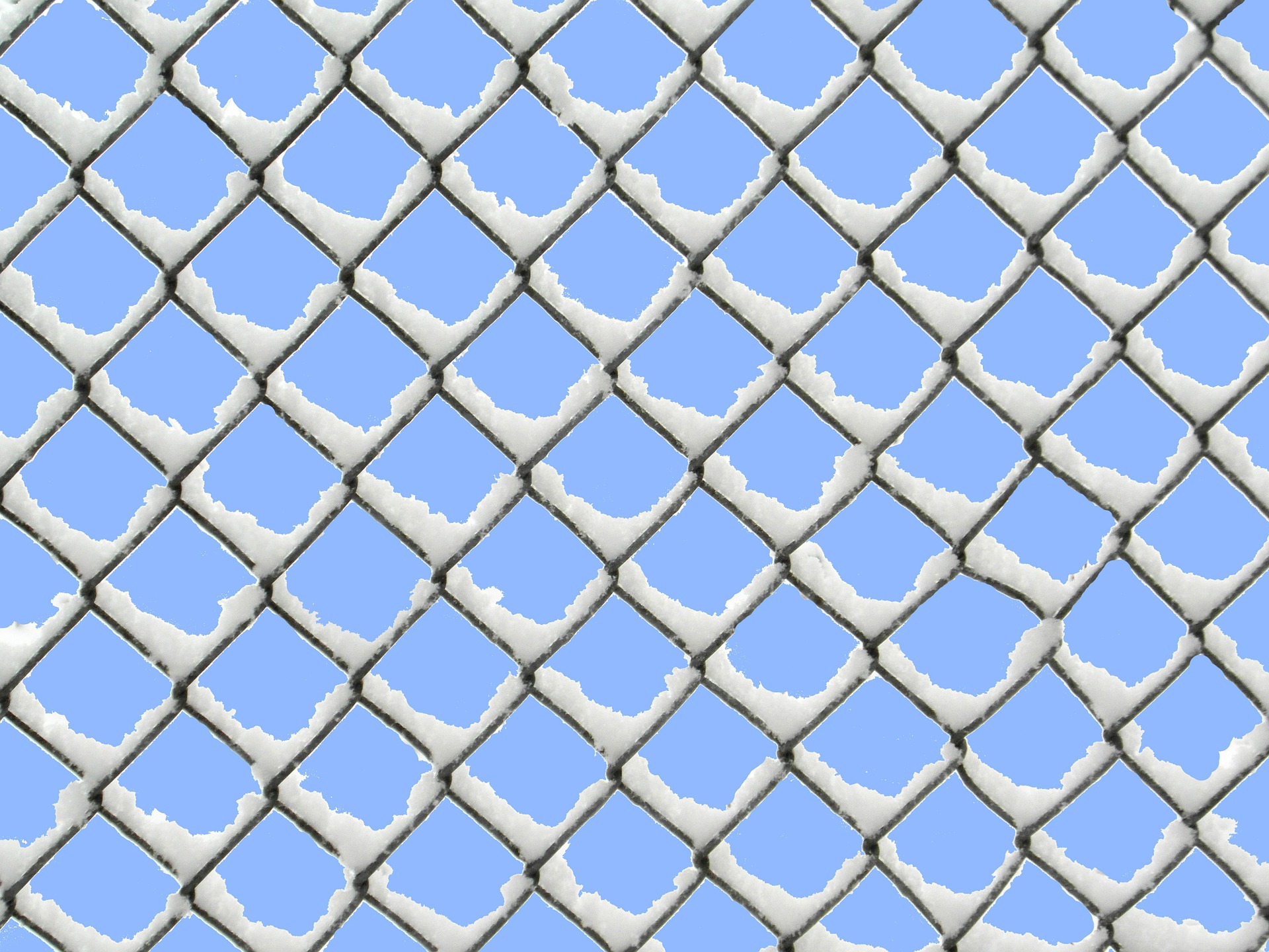 wire-mesh-fence-260043_1920.jpg