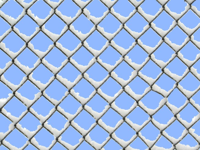 wire-mesh-fence-260043_1920.jpg